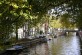 Tree lined canal in Amsterdam