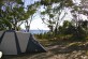 Our tent at Mystery Bay - with Montague Island in the distance