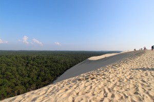 Between the sea and the forest - the largest sand dune in Europe