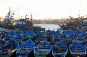 The blue boats in Essaouira harbour