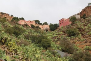 More modern Moroccan hillside homes and suculent cacti