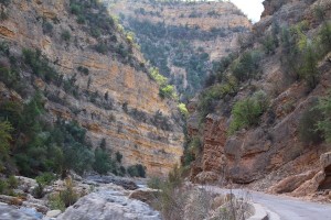The deep canyon road twists and turns