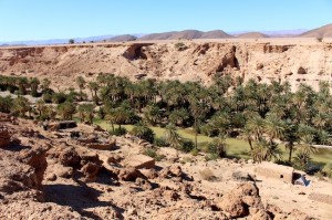 The oasis below, with houses and animal pens