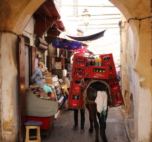 Donkeys are the only traffic allowed in the Fes medina