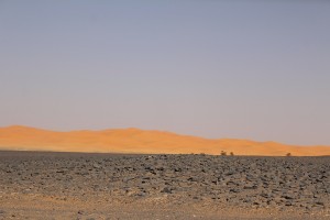 The sun-blackened hard sand - reg, contrasts with the soft, golden sahel sand