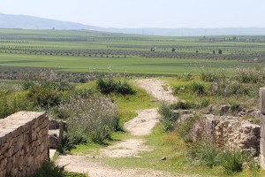 View from Volubilis across the valley floor