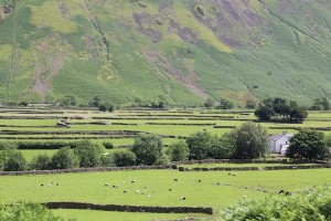 A maze of dry stone walls criss-cross the valley