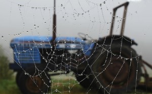 Spiders web and tractor