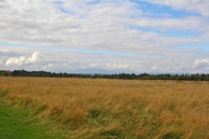 Sometimes history is made in the most unassuming places - Culloden field
