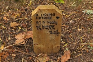 To Noddy - one of the tombstones at the Ness Island pet cemetery