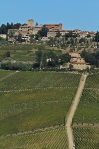 In the Chianti region all roads lead to a vineyard