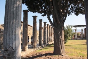 Ancient trees and even older columns in Pompeii