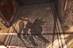 Beware of the dog behind bars in Pompeii