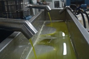 On average Greeks use 18kgs of olive oil EACH per year!