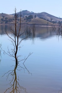 Still waters at Lake Eildon