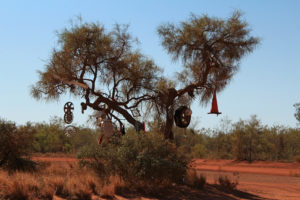 A little bit of trucker road art on the Tanami Track