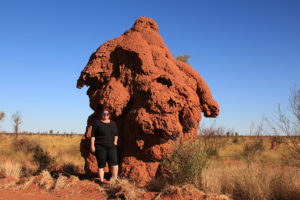 A very large termite mound