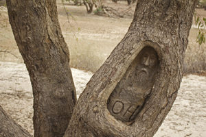 Burke's image was carved into a nearby tree forty years later as a memorial