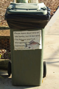 Directions on where to leave your dead fish - not the usual sign you see at the bins