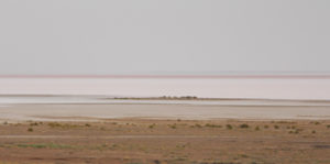 Lake Eyre South - where Donald Campbell secured the world land speed record