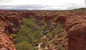 Looking toward the Garden of Eden, with the black outline of the steps across the gorge