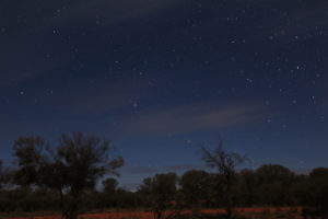 Speckled stars on a moonlit night in the outback