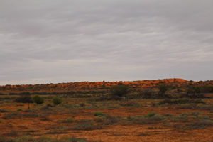 The Red Hills of the Oodnadatta Track