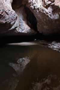 One of the subterranean pools you have to wade through in Tunnel Creek