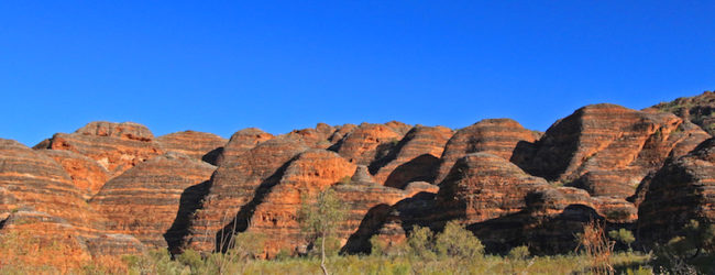 The beguiling Bungle Bungles